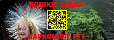 гашик Сланцы