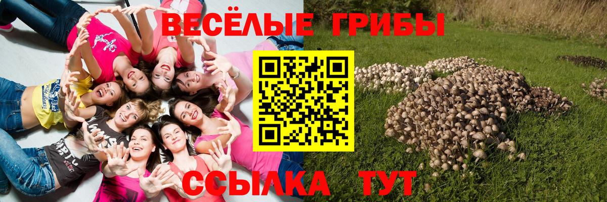 Пыть-Ях  где найти наркотики  Галлюциногенные грибы мицелий  Вход с VPN  Псилоцибиновые грибы Cubensis 